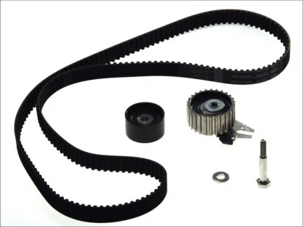 Комплект ГРМ Fiat Doblo 1.9D 01- (24x193) SKF VKMA 02174