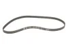 Комплект ГРМ Opel Astra G/Zafira A 1.4-1.8 16V 98-08 SKF VKMA 05152 (фото 7)