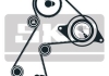 SKF ремінь ГРМ + 2 ролика натягу Renault Rapid,Clio,Kangoo 1.9d VKMA 06113