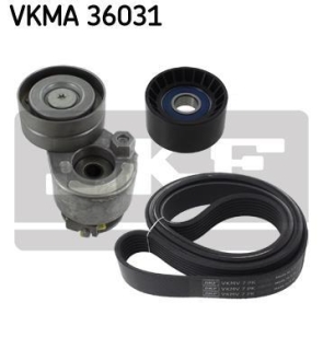Комплект дорожного ремня SKF VKMA 36031 (фото 1)