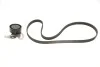 Комплект ремня генератора Renault Kangoo 1.5 dCi 01- (5PK1135) SKF VKMA 36036 (фото 1)