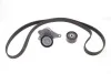 Комплект ременя генератора Renault Trafic 2.0DCI 06- (7PK1687) SKF VKMA 36132