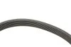 Комплект ременя генератора Renault Kangoo/Megane/Scenic 1.5 dCi 02- (6PK1130) SKF VKMA 36179 (фото 4)