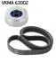 Роликовый модуль натяжителя ремня (ролик, ремень) SKF VKMA 63002