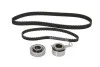 Роликовый модуль натяжителя ремня (ролик, ремень) SKF VKMA 93600