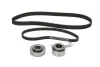 Роликовый модуль натяжителя ремня (ролик, ремень) SKF VKMA 93600 (фото 3)