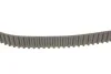 Комплект ГРМ Mitsubishi Galant VII/L200/L400 2.0 92-07 SKF VKMA 95019 (фото 2)