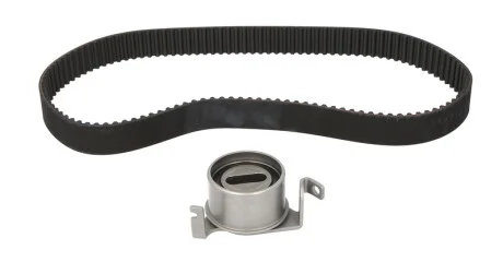 Комплект (ремень+ролики)) SKF VKMA 95025