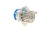 Водяний насос + комплект зубчастого ременя (Вир-во) SKF VKMC 01250-2 (фото 6)
