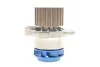 Водяний насос + комплект зубчастого ременя (Вир-во) SKF VKMC 01250-2 (фото 10)