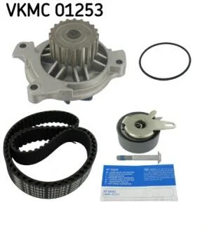 Комплект (ремень+ролик+насос) SKF VKMC 01253