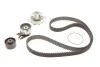 Комплект ГРМ + помпа Opel Astra/Fiat Grande Punto 1.9CDTI 04- SKF VKMC 02194 (фото 1)