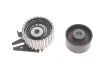 Комплект ГРМ + помпа Fiat Doblo 1.6D Multijet 10- (194x24) SKF VKMC 02199-2 (фото 6)