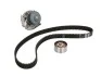 Комплект ГРМ + помпа Fiat Doblo/Fiorino 1.2-1.4 01- (22x129z) (VKPC 82251) SKF VKMC 02206