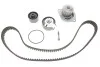 Комплект ГРМ + помпа Citroen Berlingo/Peugeot Partner 1.6 16V 00-11 SKF VKMC 03132 (фото 1)