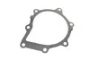 Комплект ГРМ + помпа Citroen C5/C6/C8/Peugeot 407/508/607 2.2HDI 06- (25.4x118) SKF VKMC 03305 (фото 14)
