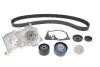 Комплект ГРМ + помпа Renault Clio III/Laguna III/Megane III/ Scenic III 1.6 16V 05- (27x132z) SKF VKMC 06021 (фото 1)