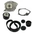 Комплект ГРМ + помпа Renault Laguna II/Megane III/Trafic 1.8/2.0 01- (27x126) SKF VKMC 06106 (фото 1)