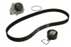 Комплект ГРМ (ремінь + ролик + помпа) SKF VKMC07301