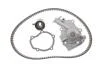 Комплект ГРМ + помпа Chevrolet Kalos/Daewoo Matiz 1.0/1.2i 03- SKF VKMC 90008 (фото 1)