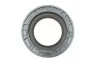 Комплект цепи ГРМ Ford Transit 2.4 TDCi 06-14 SKF VKML 84007 (фото 10)