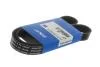 Доріжковий пас SKF VKMV6PK1020R (фото 1)