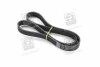 Поликлиновый ремень SKF VKMV 6PK1117 (фото 1)