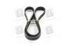 Поликлиновый ремень SKF VKMV 6PK1117 (фото 2)