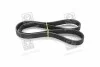 Поликлиновый ремень SKF VKMV 6PK1117 (фото 3)