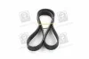 Поликлиновый ремень SKF VKMV 6PK1117 (фото 4)