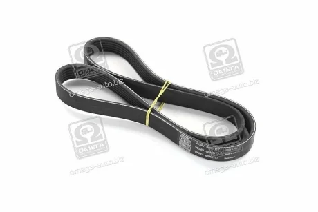 Поликлиновый ремень SKF VKMV 6PK1117