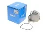 Помпа воды Audi A3/Seat Ibiza/Skoda Fabia/Rapid/Octavia/VW Caddy/Golf/Polo 1.2TSI 10- SKF VKPC 81213 (фото 1)