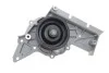 Насос охолоджуючої рідини (Вир-во) SKF VKPC 81304 (фото 9)