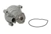 Водяний насос VAG A3/ Ibiza/Fabia/Octavia/Golf/Passat \'\'1,6L "03>> SKF VKPC 81501 (фото 1)