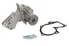 Водяний насос FORD/VOLVO C-Max/Fiesta/Focus/Kuga/S40/S80 \'\'1,25/1,6L "01>> SKF VKPC 84217 (фото 1)