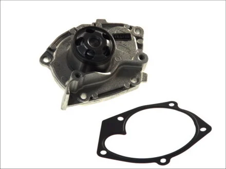 Помпа воды Renault Scenic III/Megane III 1.9 dCi 08- SKF VKPC 86008