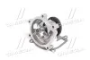 Водяний насос (Вир-во) SKF VKPC 91807 (фото 4)