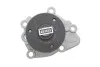Водяний насос (Вир-во) SKF VKPC 95891 (фото 6)