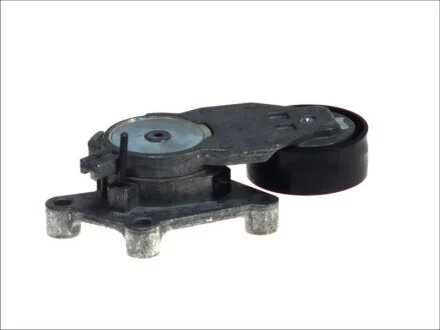 Натяжник ременя генератора Citroen/Peugeot/Ford 1.4HDi/1.6TDCi 01- SNR NTN GA359.00