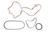 Комплект ремня генератора Citroen C3/C4/Peugeot 208/308 1.2 THP 13- SNR NTN KA859.70 (фото 1)