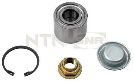 Подшипник ступицы (задней) Citroen C4/Peugeot 307 (25x60x45) SNR NTN R159.48