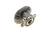 Подшипник ступицы (задней) Nissan Qashqai 16- SNR NTN R168.137 (фото 2)
