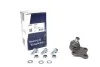 Опора кульова (передня/знизу) Citroen Berlingo/Peugeot Partner 96-08 (d=18mm) Solgy 203022 (фото 4)