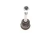 Опора шаровая (передняя/снизу/внутри) BMW 3 (E36)/Z3 (E36) 1.6i-3.2 90-03 Solgy 203079 (фото 6)
