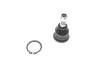 Опора шаровая (передняя) Hyundai Accent I/II 94-05/ Elantra 00-06/ Kia Cerato 04-/ Rio 11- Solgy 203142 (фото 1)