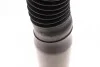 Амортизатор (задний) Citroen C4 06-13 (Gas) Solgy 211136 (фото 2)
