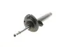 Амортизатор (передний) BMW 3 (E46) 98-05 (R) M43/M47 Solgy 211245 (фото 3)