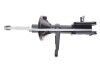Амортизатор (передний) Land Rover Freelander 00-06 (R) Solgy 211318 (фото 1)