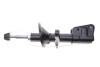 Амортизатор (передний) Land Rover Freelander 00-06 (R) Solgy 211318 (фото 5)