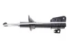 Амортизатор (задний) Land Rover Freelander 98-06 (R) Solgy 211320 (фото 1)